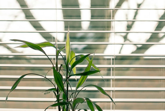 Enhance Energy Efficiency and Sustainability with the Right Window Treatments