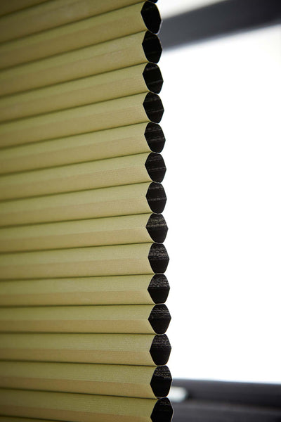 files/Hive_Blackout_Green.jpg