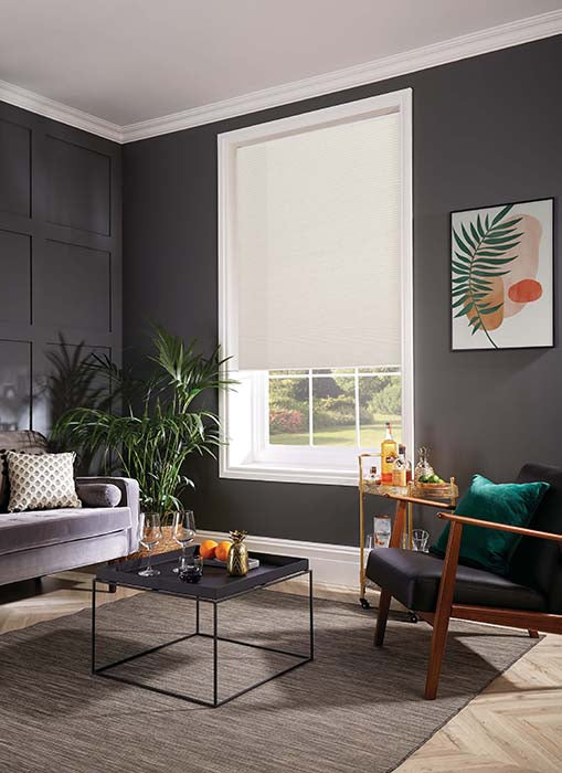 Thermal Blinds